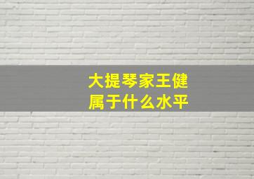 大提琴家王健 属于什么水平